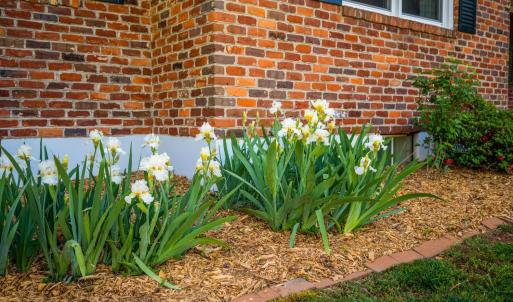 Photo #46 of 7205 Richland Drive, Lynchburg, VA 0.4 acres