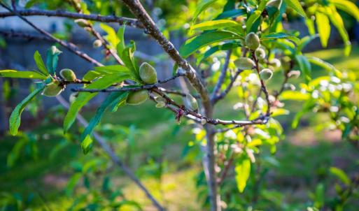 Photo #41 of 7205 Richland Drive, Lynchburg, VA 0.4 acres