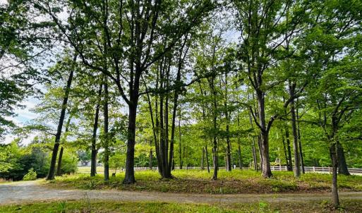 Photo #35 of 465 Wileman Road, Lynch Station, VA 2.1 acres