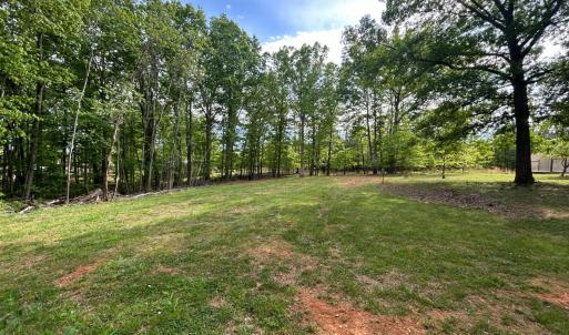 Photo #40 of 465 Wileman Road, Lynch Station, VA 2.1 acres