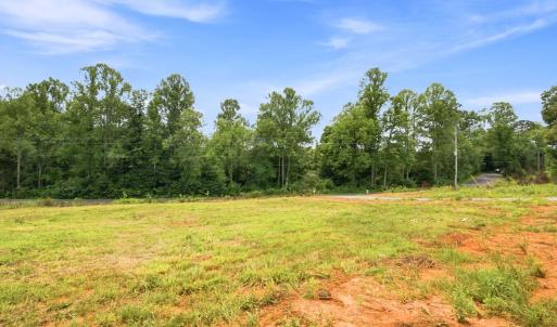 Photo #48 of 9009 Stonewall Road, Appomattox, VA 2.2 acres