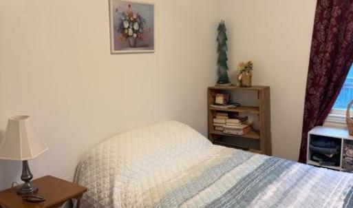 Photo #15 of 173 Tyree Circle, Madison Heights, VA 1.8 acres