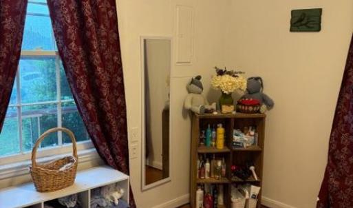 Photo #17 of 173 Tyree Circle, Madison Heights, VA 1.8 acres