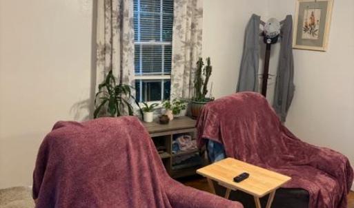 Photo #9 of 173 Tyree Circle, Madison Heights, VA 1.8 acres