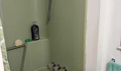 Photo #20 of 173 Tyree Circle, Madison Heights, VA 1.8 acres