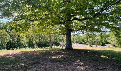 Photo #27 of 2107 Boxwood Farm Rd, Amherst, VA 10.0 acres