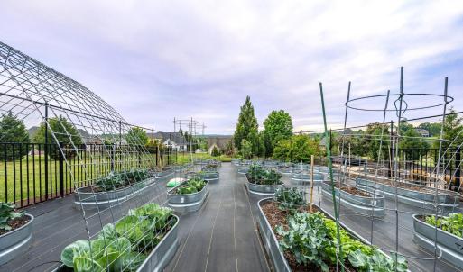 Photo #80 of 1415 Lake Manor Drive, Forest, VA 1.0 acres