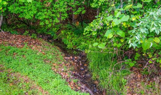 Photo #48 of 1025 Morey Place, Lynchburg, VA 0.5 acres