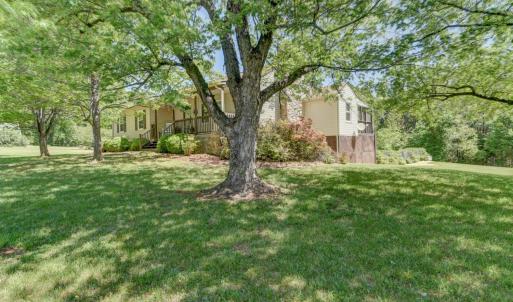 Beautiful trees, yard, landscaping and privacy