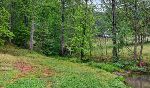 Photo #72 of 146 Anderson Ln., Lovingston, VA 2.0 acres