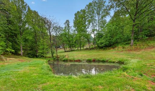 Photo #4 of 146 Anderson Ln., Lovingston, VA 2.0 acres