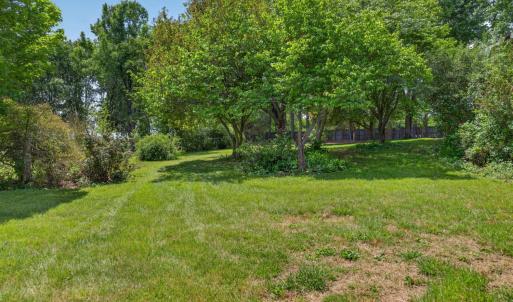 Photo #54 of 4480 Pigeon Run Road, Gladys, VA 2.2 acres