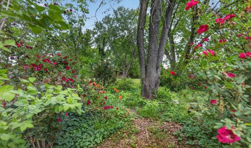 Photo #49 of 4480 Pigeon Run Road, Gladys, VA 2.2 acres
