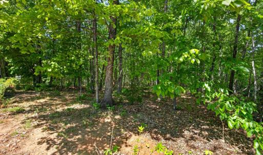 Photo #57 of 1301 Hummingbird Lane, Spout Spring, VA 1.3 acres