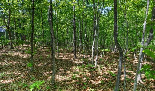 Photo #59 of 1301 Hummingbird Lane, Spout Spring, VA 1.3 acres