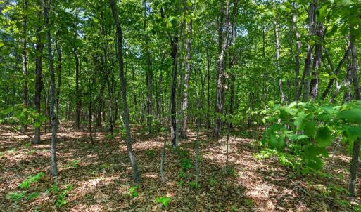 Photo #58 of 1301 Hummingbird Lane, Spout Spring, VA 1.3 acres