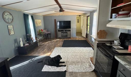 Photo #3 of 1291 Riverville Road, Gladstone, VA 6.3 acres