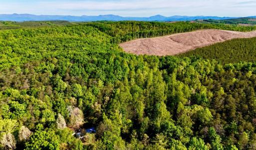 Photo #11 of 1291 Riverville Road, Gladstone, VA 6.3 acres