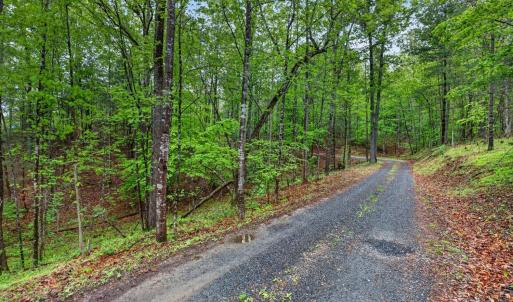 Photo #32 of 189 Pera Road, Monroe, VA 7.6 acres
