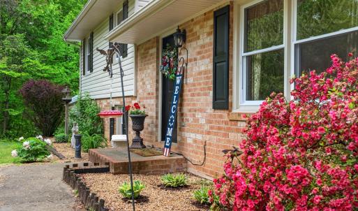 Photo #20 of 189 Pera Road, Monroe, VA 7.6 acres
