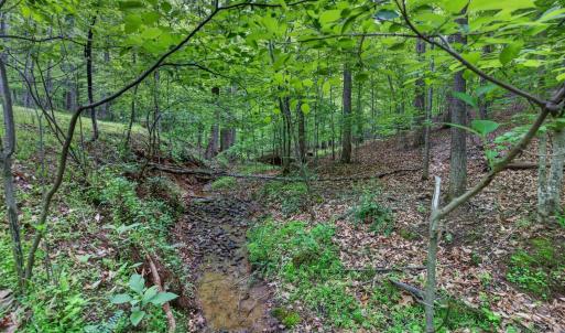 Photo #69 of 1249 Cedar Gate rd., Monroe, VA 2.9 acres
