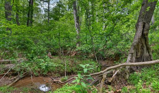Photo #68 of 1249 Cedar Gate rd., Monroe, VA 2.9 acres