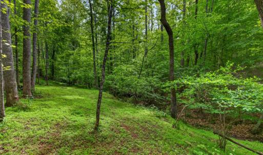 Photo #67 of 1249 Cedar Gate rd., Monroe, VA 2.9 acres