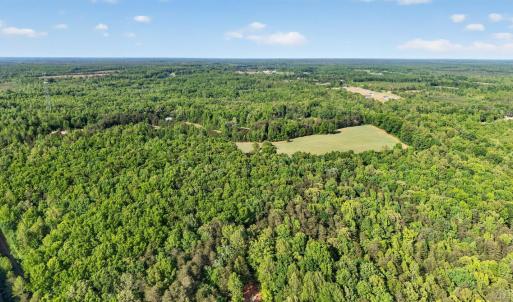 Photo #43 of 644 Campbell Crossing Road, Meherrin, VA 30.2 acres