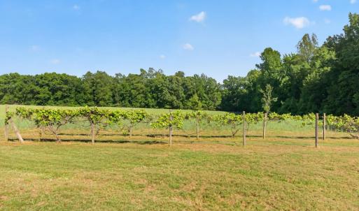 Photo #32 of 644 Campbell Crossing Road, Meherrin, VA 30.2 acres