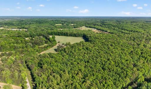 Photo #41 of 644 Campbell Crossing Road, Meherrin, VA 30.2 acres