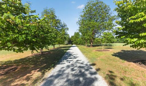 Photo #3 of 644 Campbell Crossing Road, Meherrin, VA 30.2 acres