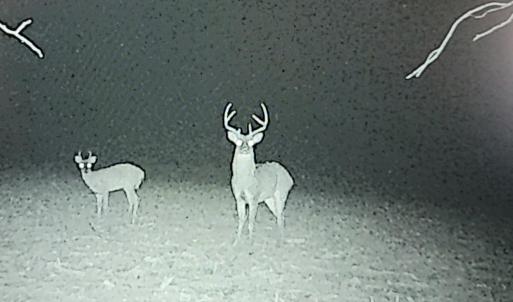 Photo #48 of 644 Campbell Crossing Road, Meherrin, VA 30.2 acres