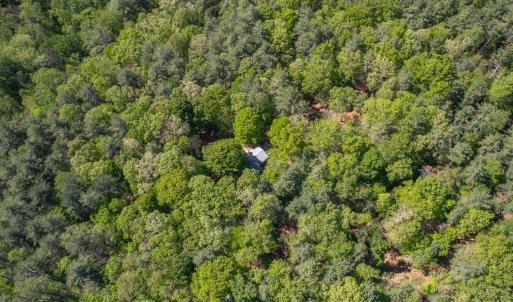 Photo #39 of 157 White Pine Court, Monroe, VA 5.1 acres