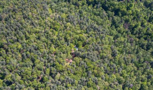 Photo #40 of 157 White Pine Court, Monroe, VA 5.1 acres