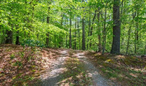 Photo #35 of 157 White Pine Court, Monroe, VA 5.1 acres