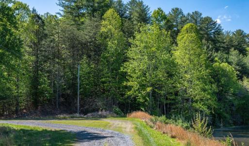 Direct access trail to National Forest