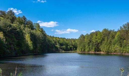 Photo #43 of 157 White Pine Court, Monroe, VA 5.1 acres