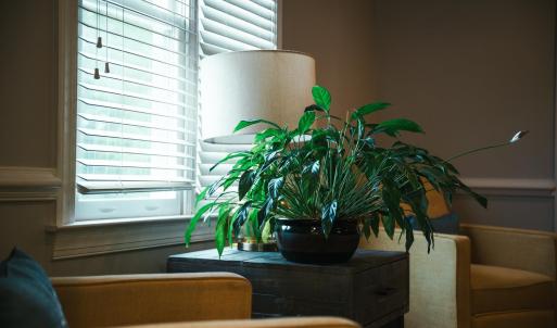 Photo #16 of 749 Chikasaw Road, Lynchburg, VA 0.4 acres