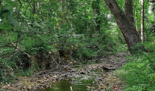Photo #59 of 1271 Church Street, Appomattox, VA 1.4 acres