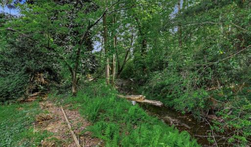 Photo #60 of 1271 Church Street, Appomattox, VA 1.4 acres