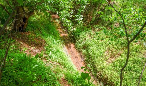 Photo #94 of 2058 Rocky Branch Drive, Forest, VA 3.4 acres