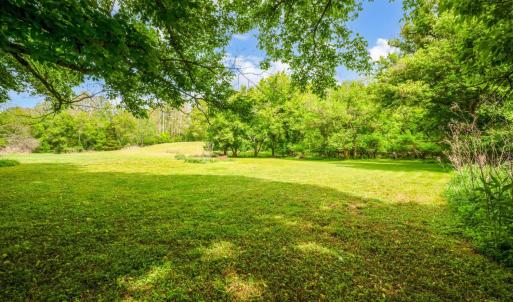 Photo #95 of 2058 Rocky Branch Drive, Forest, VA 3.4 acres