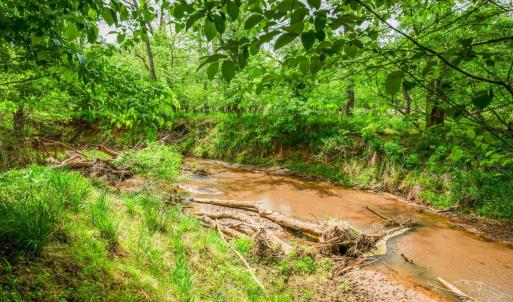 Photo #93 of 2058 Rocky Branch Drive, Forest, VA 3.4 acres
