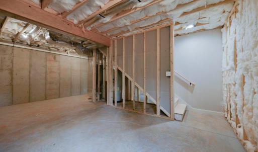 Unfinished basement