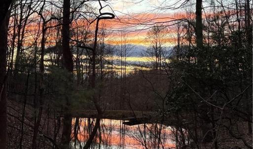 Photo #39 of 270 Little Cabin Road, Amherst, VA 11.5 acres