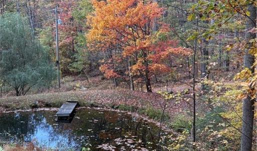 Photo #38 of 270 Little Cabin Road, Amherst, VA 11.5 acres