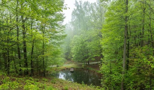 Photo #36 of 270 Little Cabin Road, Amherst, VA 11.5 acres