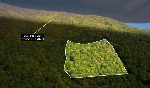 Photo #42 of 270 Little Cabin Road, Amherst, VA 11.5 acres