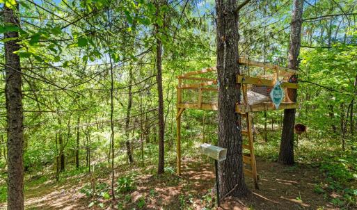 Photo #48 of 1324 Founding Way Road, Bedford, VA 1.9 acres