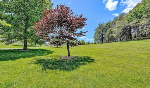 Photo #70 of 120 Stonelea Drive, Troutville, VA 6.3 acres